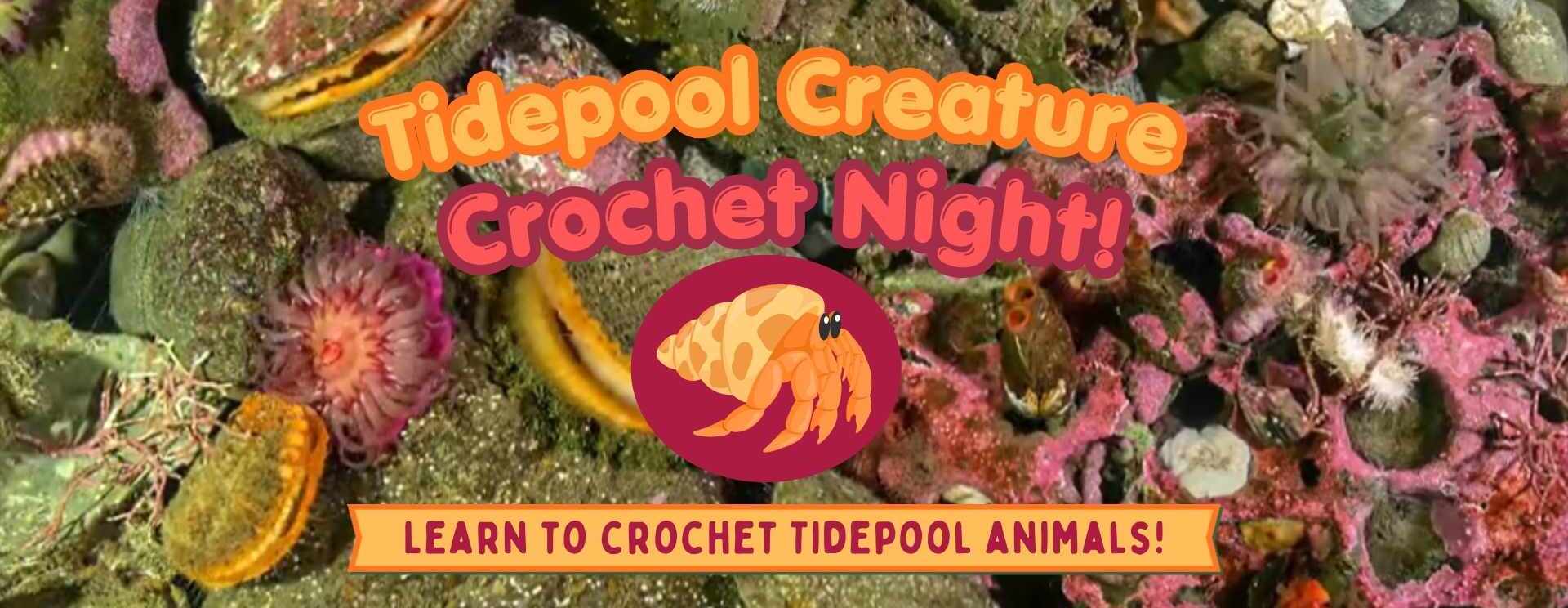 Tidepool Crochet